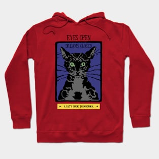 A Cat's Guide to Insomnia Hoodie